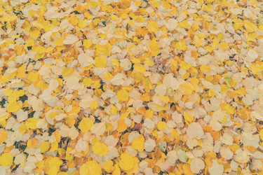 Similar image 13247991