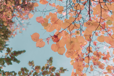 Similar image 13248073