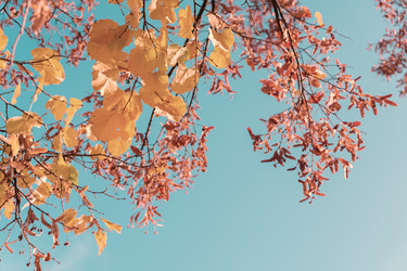 Similar image 13248074