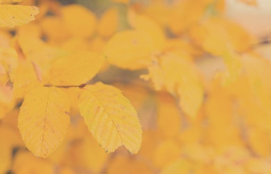 Similar image 13247764