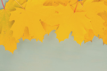 Similar image 13247765