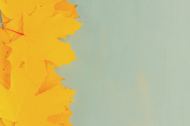 Similar image 13247766