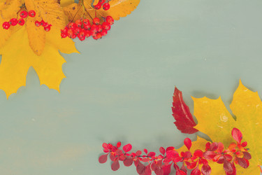 Similar image 13247859