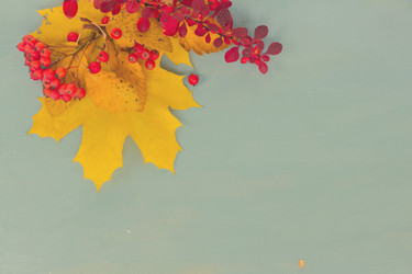 Similar image 13247861