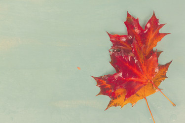 Similar image 13247862