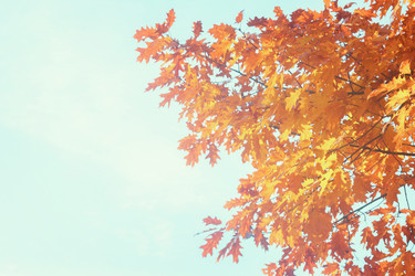 Similar image 13247863