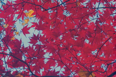 Similar image 13247864