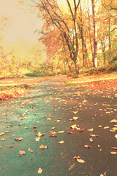 Similar image 13247929