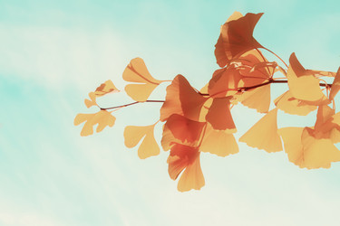 Similar image 13247759