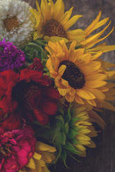 Similar image 13248122