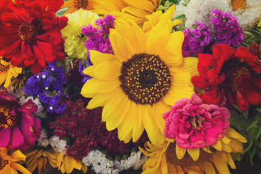 Similar image 13247867