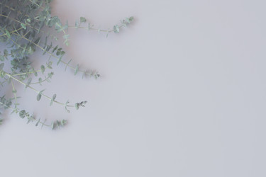 Similar image 13247869