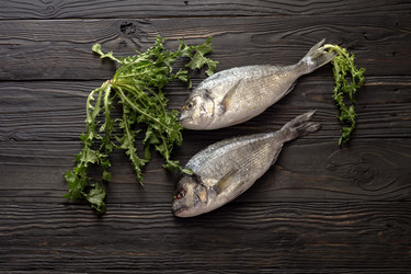 Similar image 13277051