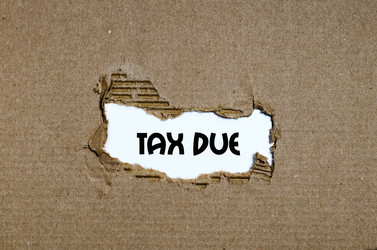 Similar image 13245684