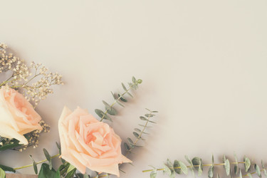 Similar image 13247804