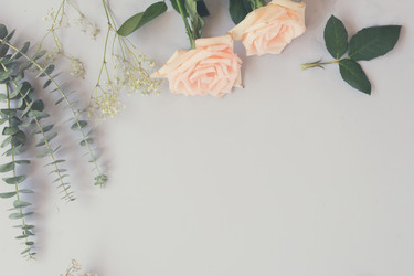 Similar image 13247828