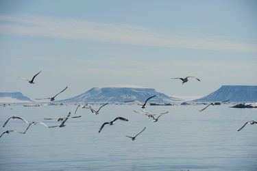 Similar image 13253989