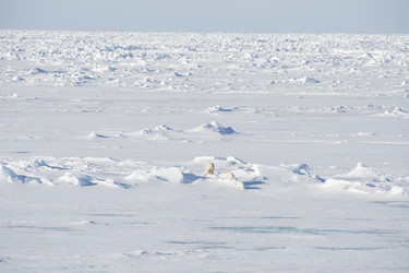 Similar image 13254001