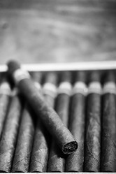 Similar image 13274560