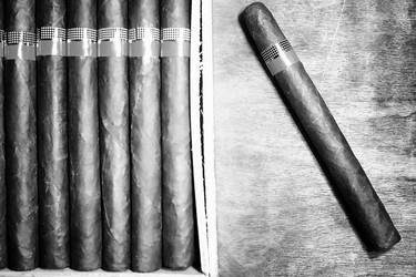 Similar image 13274719