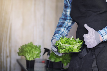 Similar image 13274837