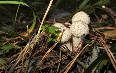 Similar image 13259126