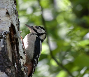 Similar image 13259248