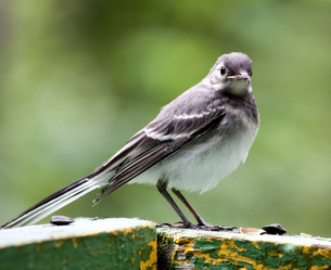 Similar image 13259324