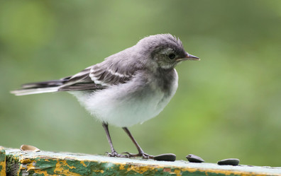 Similar image 13259343