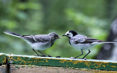 Similar image 13259350