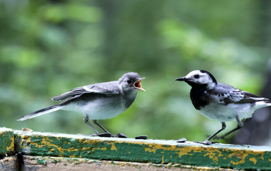 Similar image 13259352