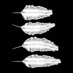 Similar image 13246495