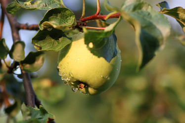 Similar image 13274562