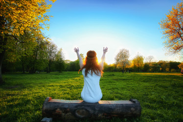 Similar image 13275039