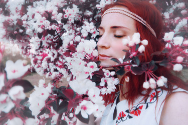 Similar image 13275127