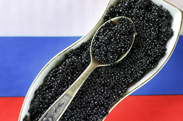 Similar image 13275125