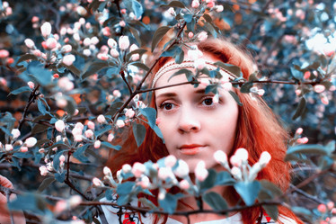 Similar image 13278065