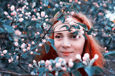 Similar image 13278164