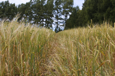 Similar image 13276503