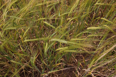 Similar image 13276570