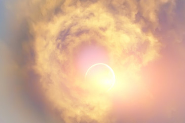 Similar image 13278007