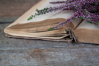 Similar image 13271735