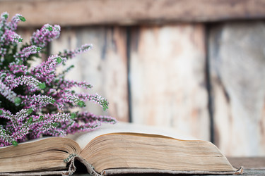 Similar image 13271737