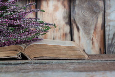 Similar image 13271769