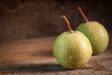 Similar image 13271789