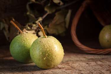 Similar image 13271794