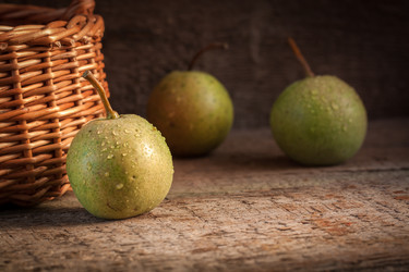 Similar image 13271782