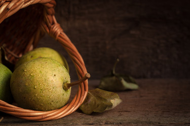 Similar image 13271784