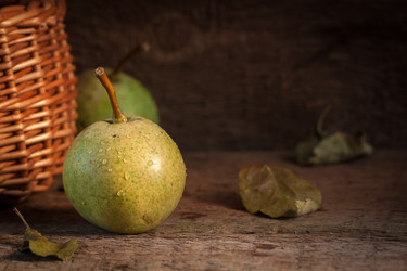 Similar image 13271785