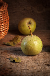 Similar image 13271787